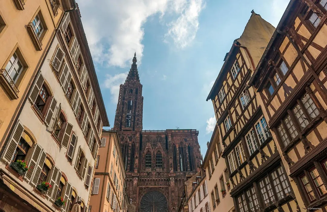 Cerise Strasbourg-1